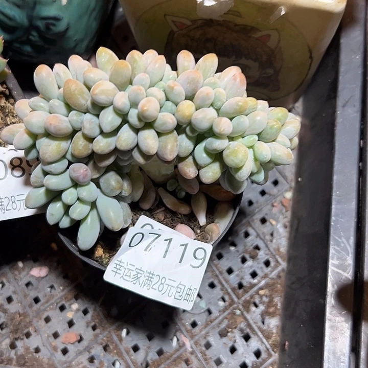幸运的是你能在我身边陪伴