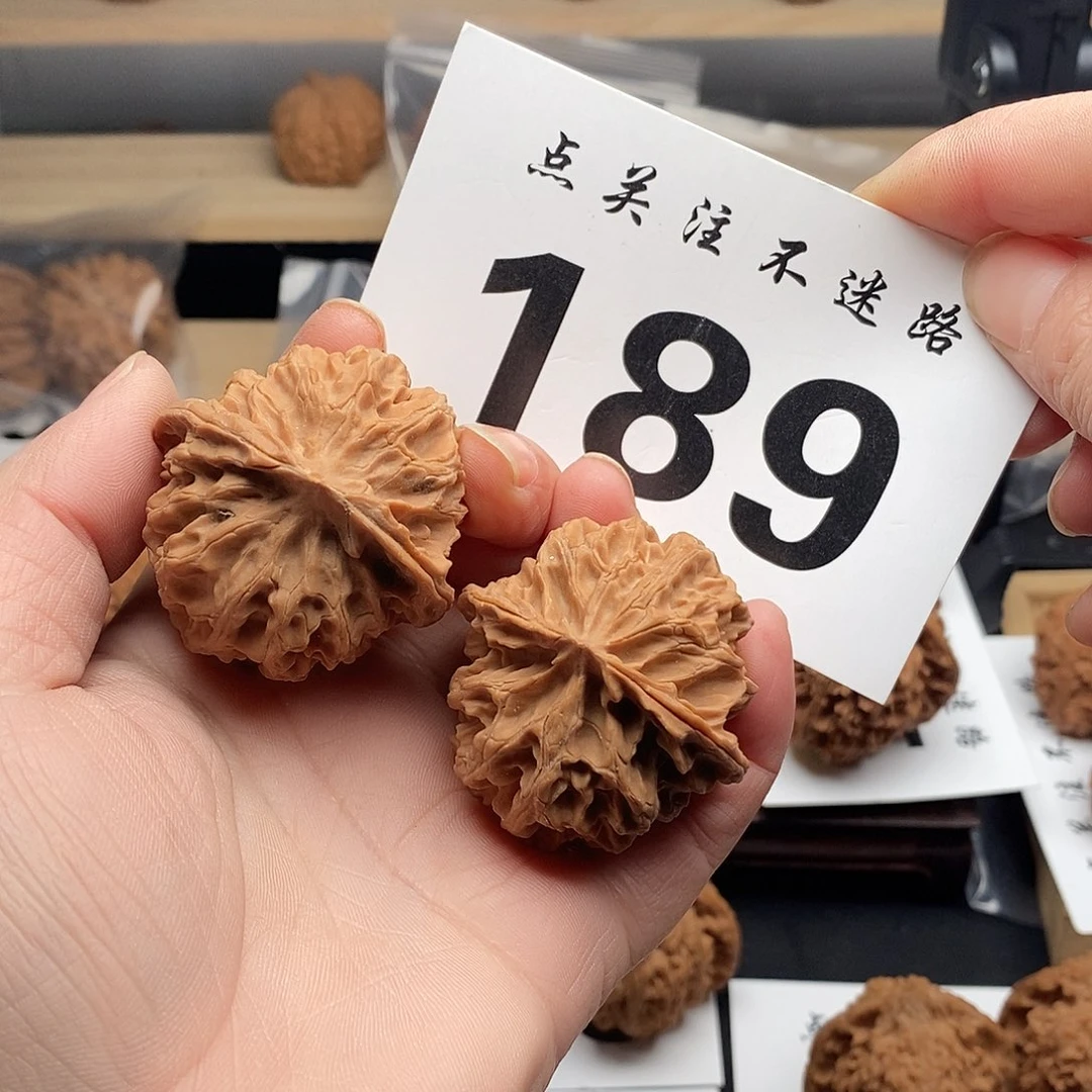 核桃41+苹果园