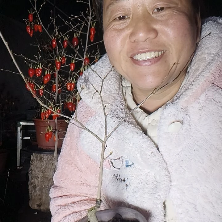 路***心无花朵4568899898969