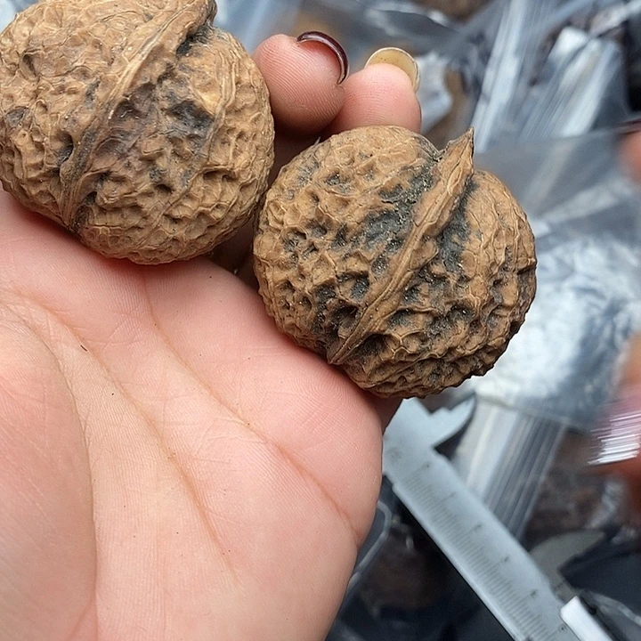 文玩核桃把件31号45mm