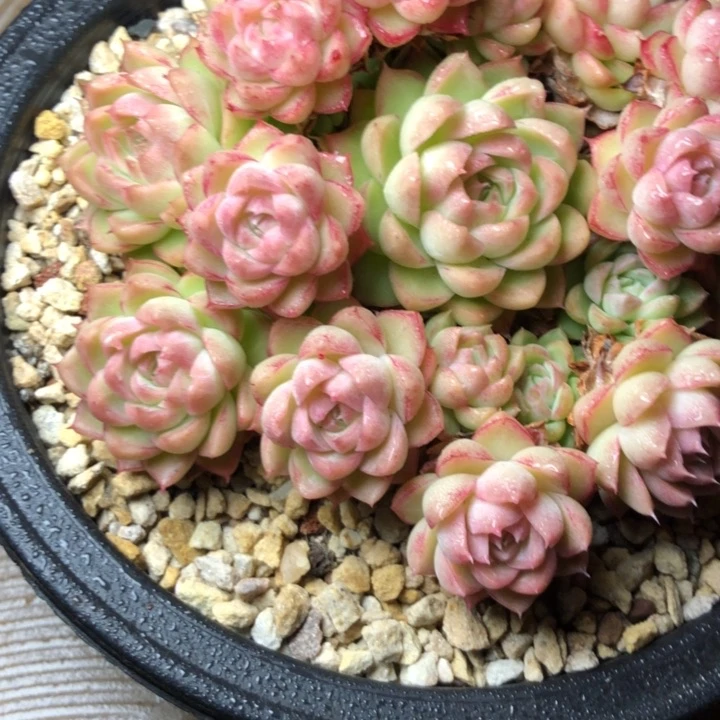 31///////////////////