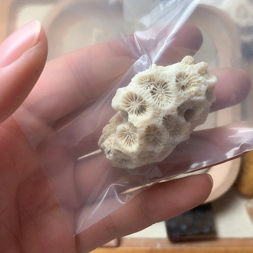 石英质玉颈饰未镶嵌玖*