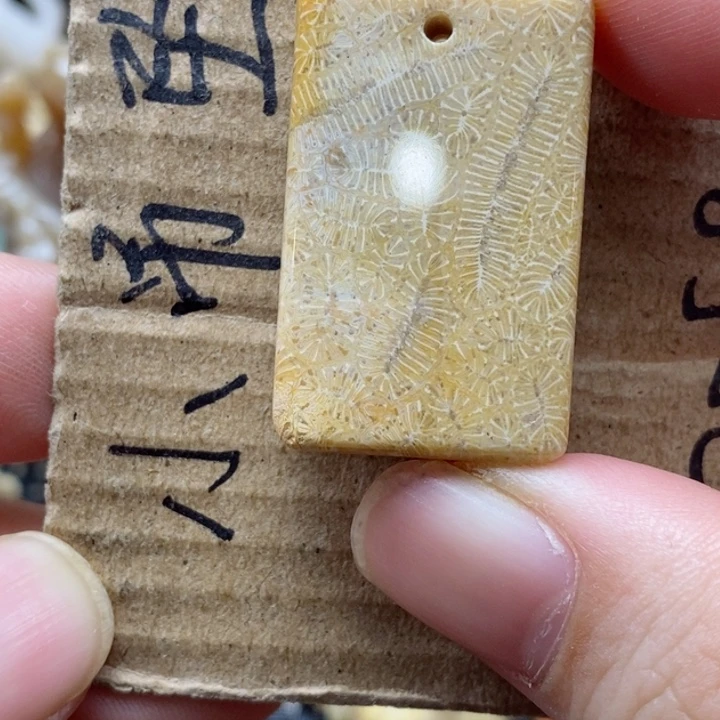 硅化珊瑚（珊瑚玉）颈饰未镶嵌悠*