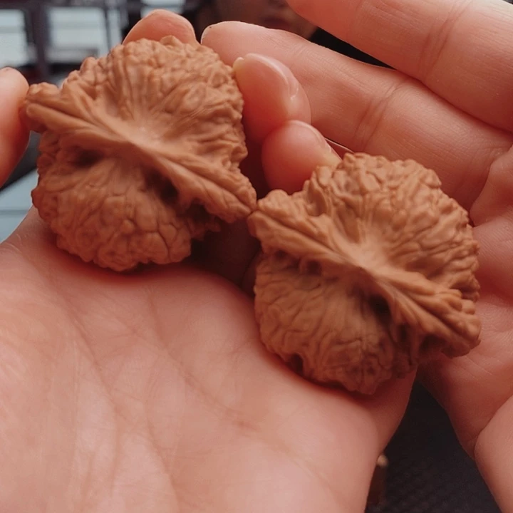 核桃43尺马老四核桃