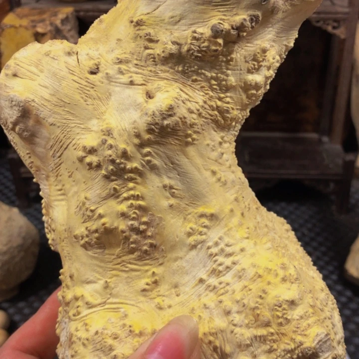 木新*木料木料木料木料