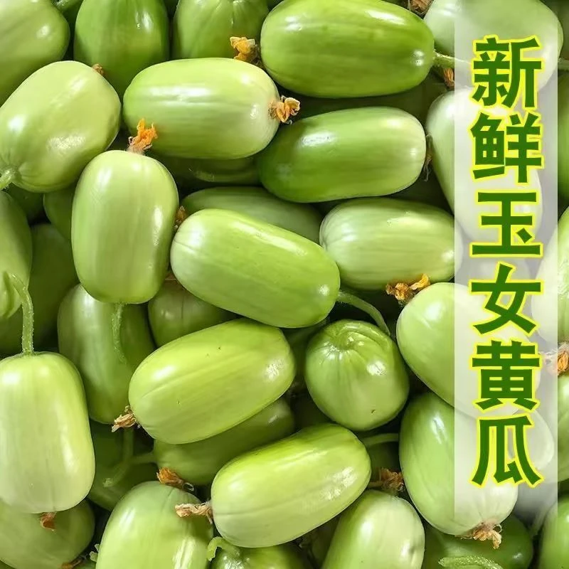 山东现摘金童玉女小黄瓜拇指水果黄瓜鲜脆爽口皮薄多汁