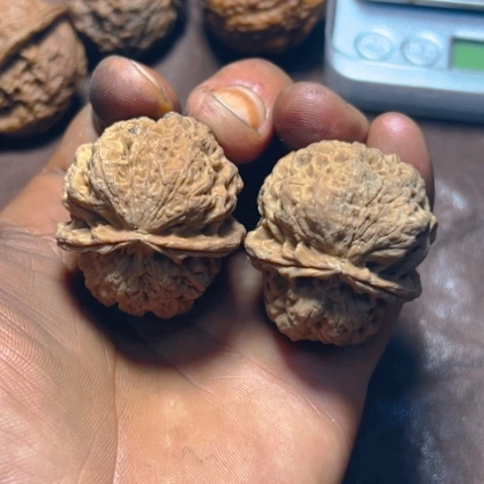 把件文玩核桃卡39大龟背14号