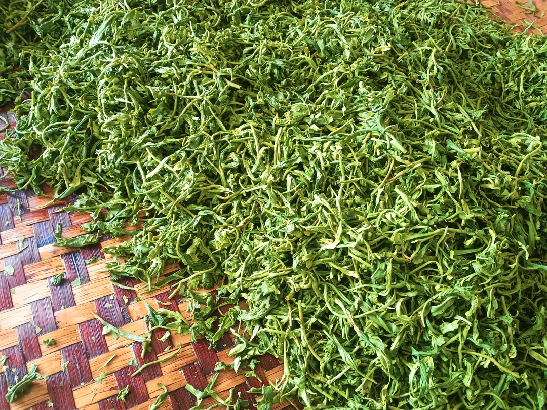 金秋湖镇手工茶新茶春茶明前茶炒青绿茶100克