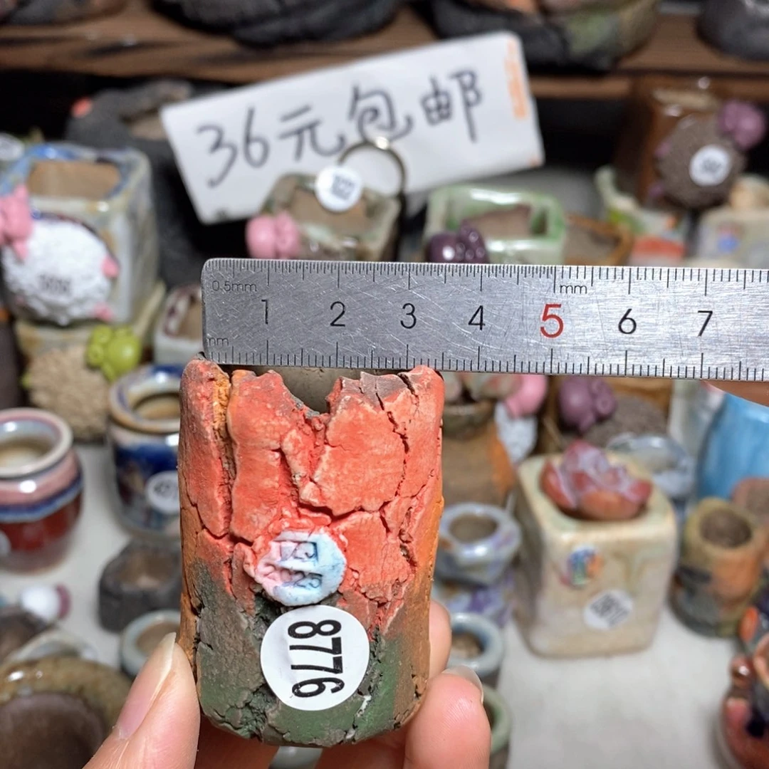 拍5送一个小礼物