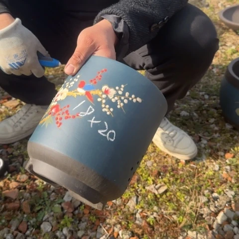 紫砂花盆紫砂花盆盆景盆栽