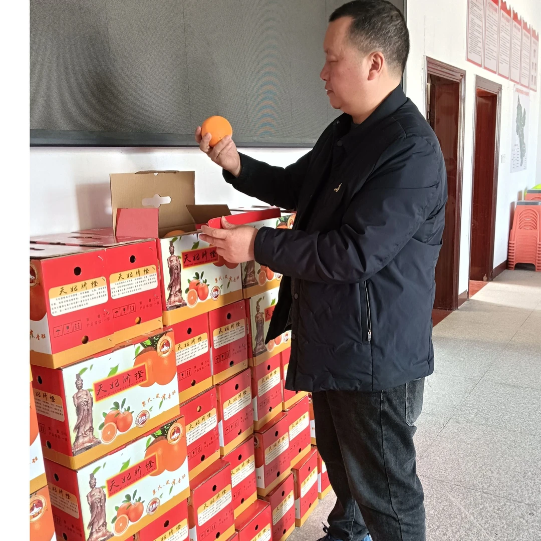 脐橙/仙游县游洋镇河星村古峰天妃脐橙