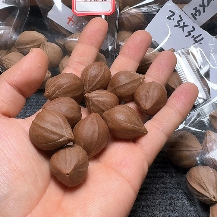 吊坠橄榄核苏*宝2.1❌2.9