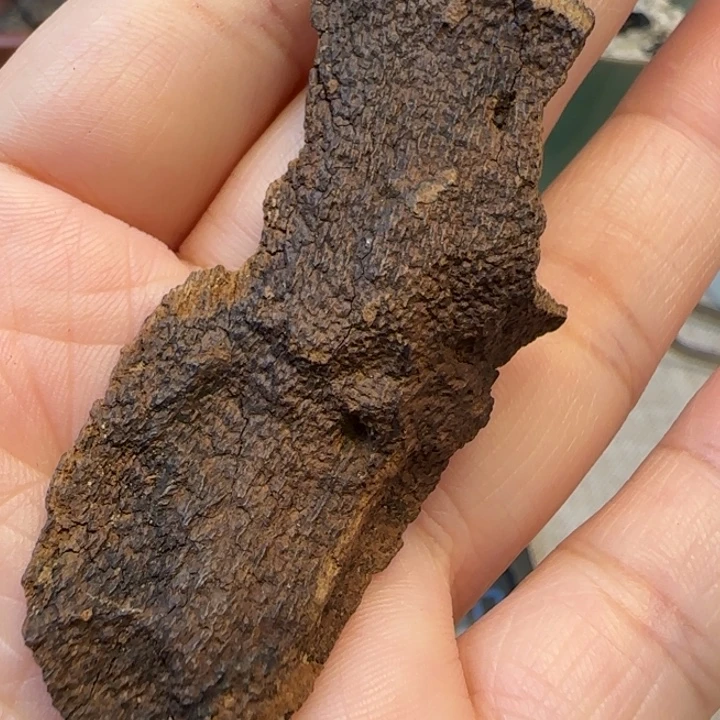 沉香摆件海南野生沉水包头1.9克