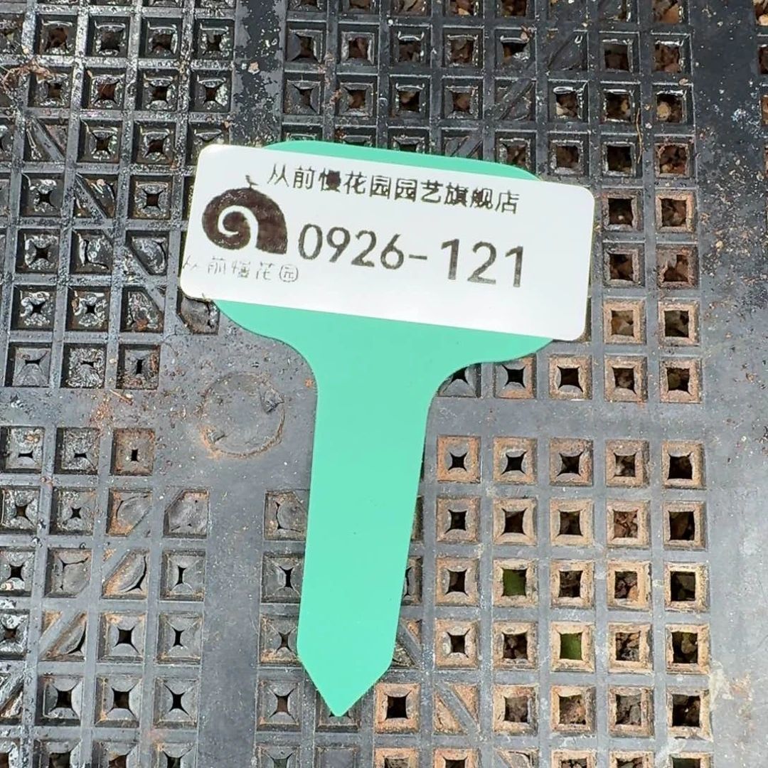 从前慢多肉精选编号0926.121