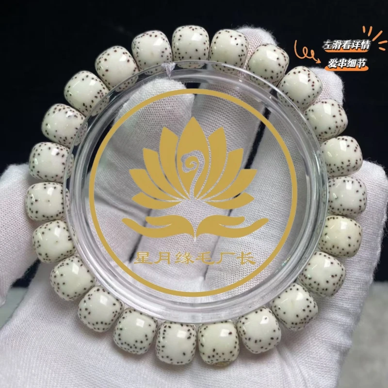 PH100原生态星月菩提【白龙王】侧留白10*9mm文玩好物【奢华三金标】