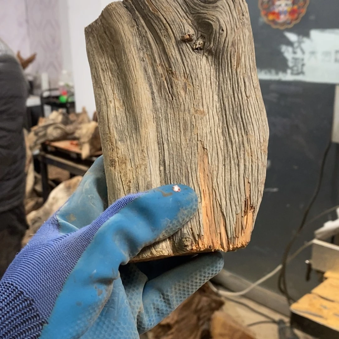 柏木༻****༺我们都是好孩子