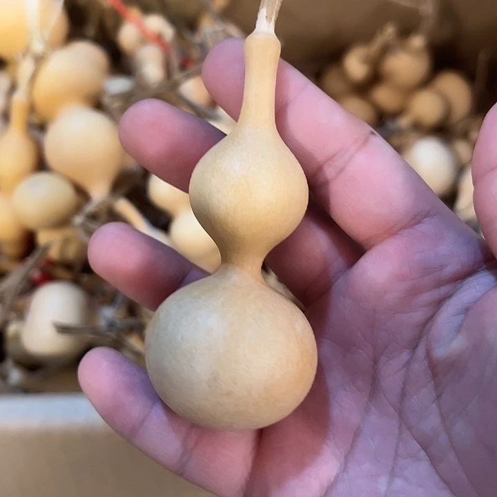 用***3有机玻璃蚂蚁蚂蚁蚂蚁蚂蚁