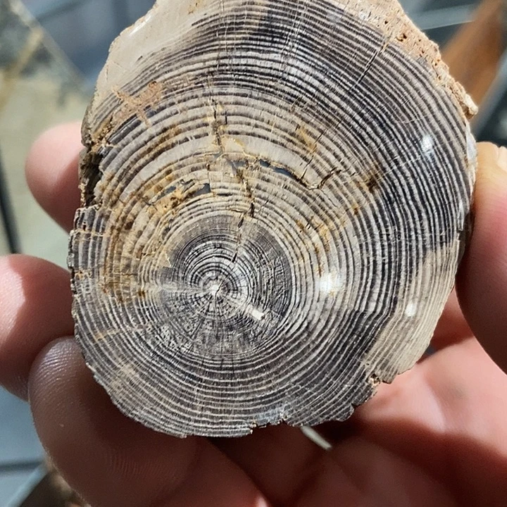 摆件家居用品装饰