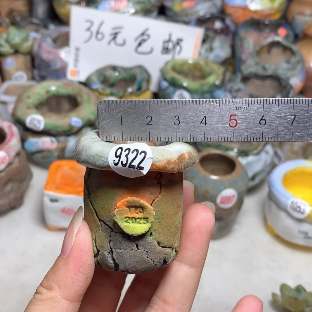 福利款默认微瑕不退不换