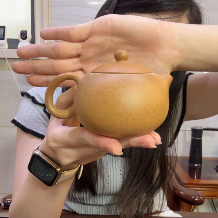茶壶段泥黄金段合作款西施壶180cc