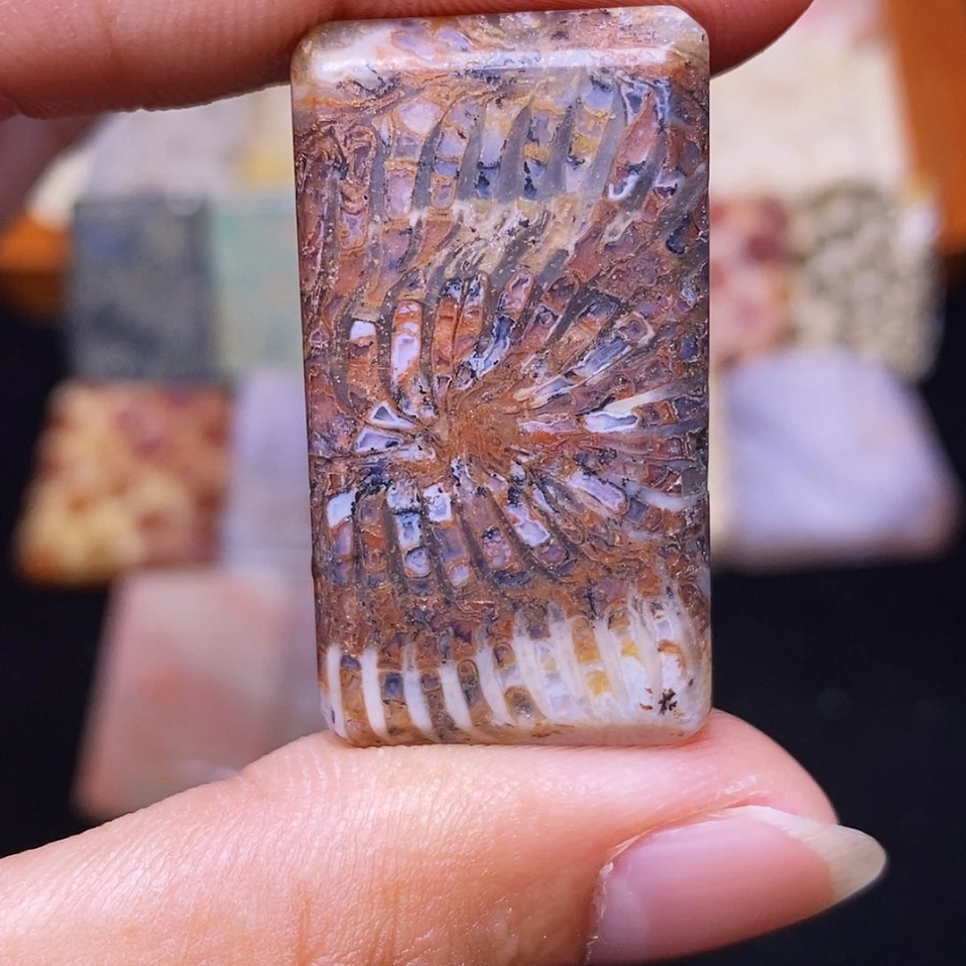 I***白硅化玉合金珊瑚玉