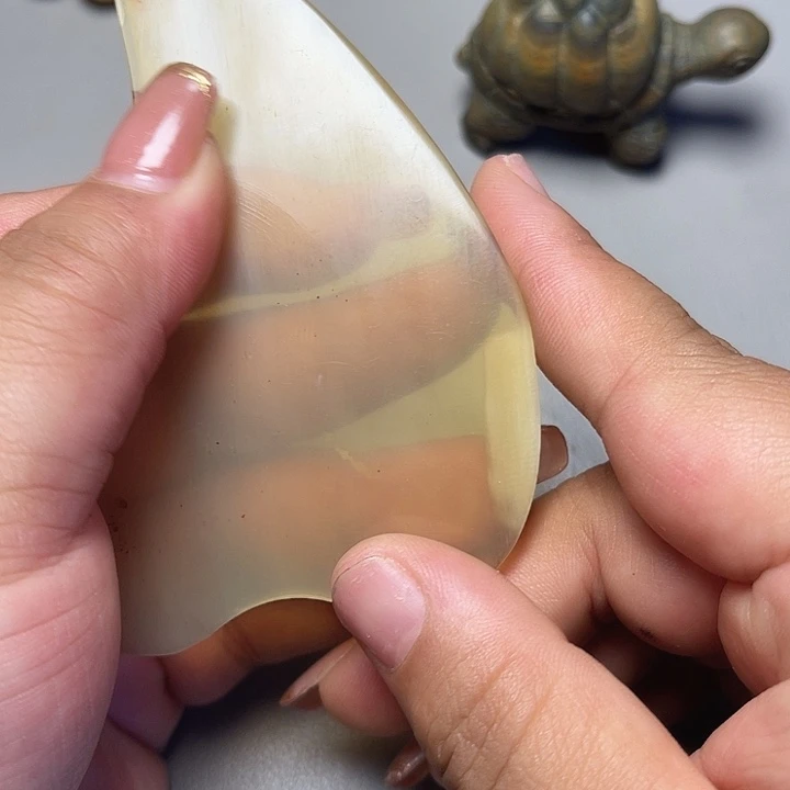 大果紫檀（缅甸花梨）