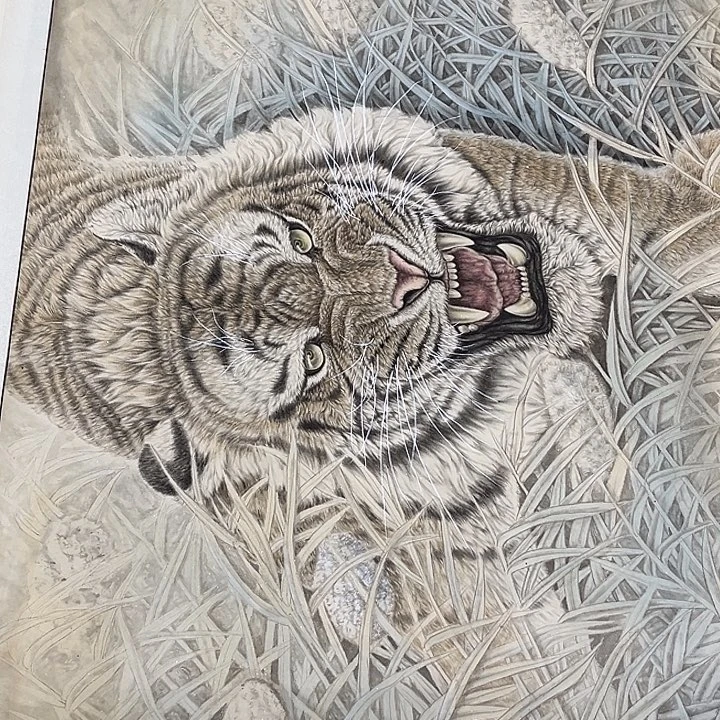 龙***虎国画王双印哈哈哈哈哈哈哈哈哈