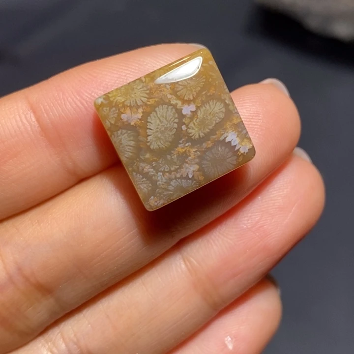 【闪购商品】未镶嵌珊瑚玉硅化玉