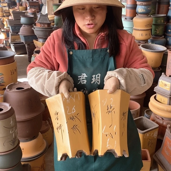 紫砂花盆盆栽花卉苗木种植