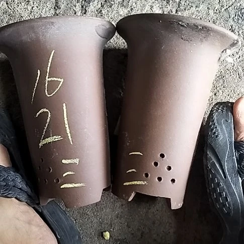 小号兰花紫泥两个三