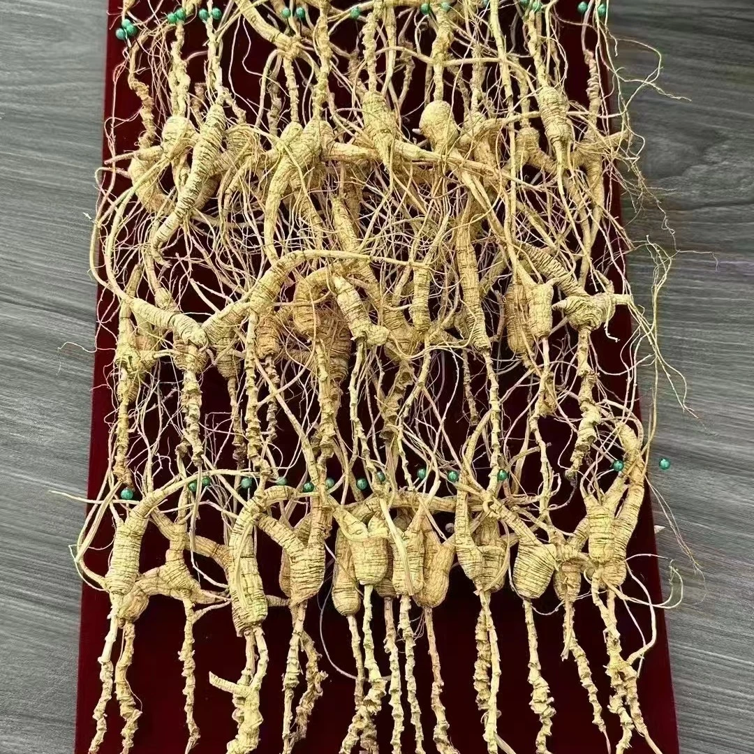 长白山高年头林下参可打粉切片泡酒自用送人林下山参佳品