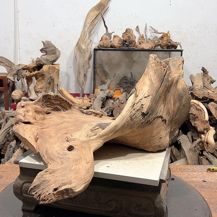 柏木旺**行我们的生活也是