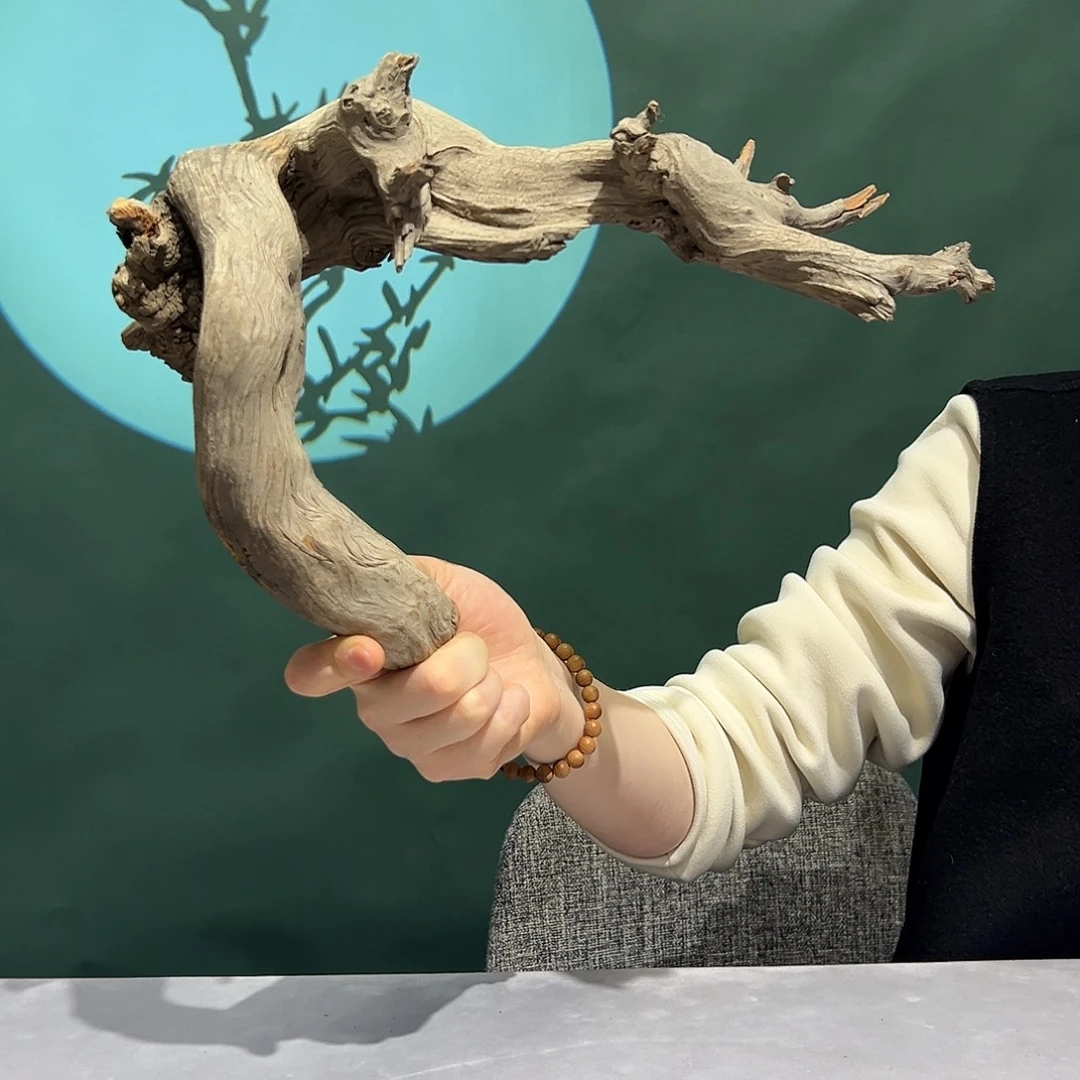 飞***龙柏木（崖柏）飘逸崖柏树