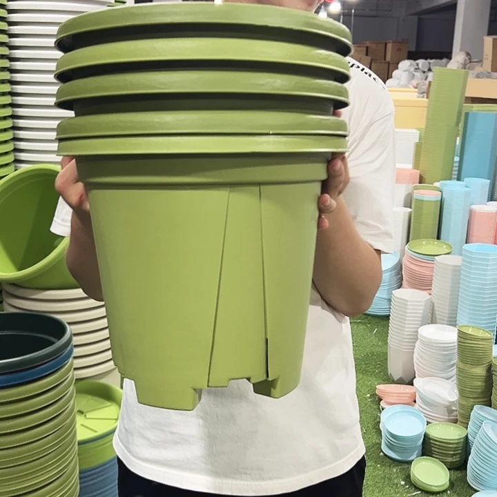 青山口32高28果绿绿色5只无托