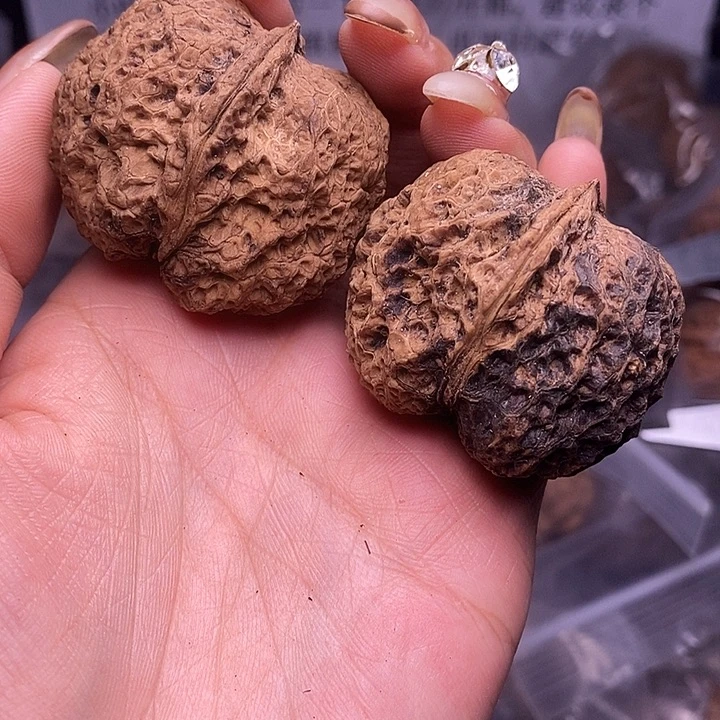 核桃云南野生铁核桃41号42mm