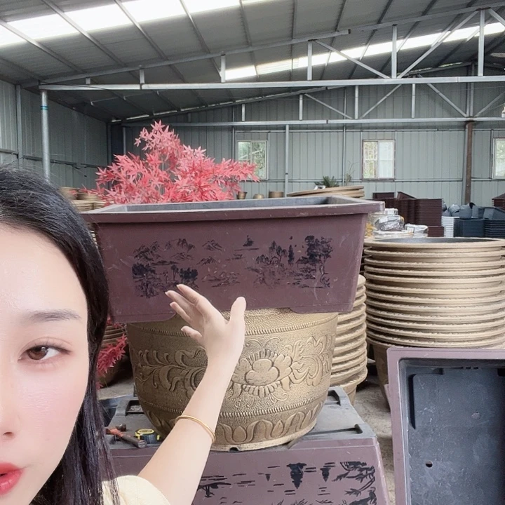 盆景80花盆一个无孔