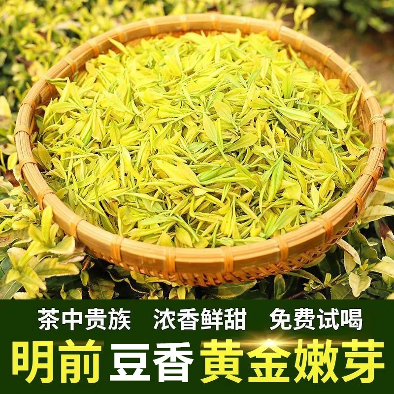 黄金芽2025新茶春茶原产地明前高山兰花香豆香型绿茶叶