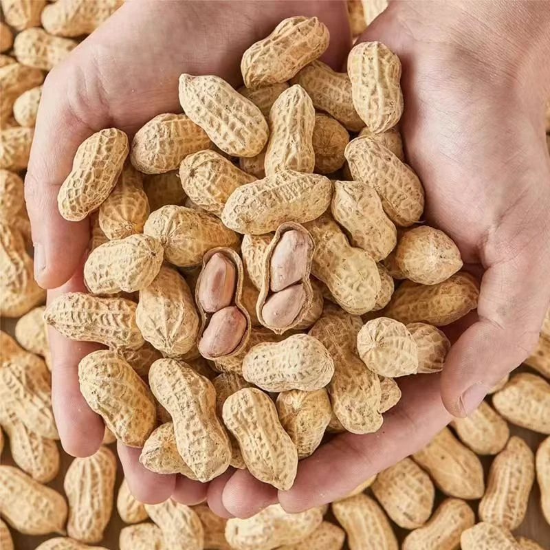带壳花生炒货本地炒花生零食坚果休闲小吃
