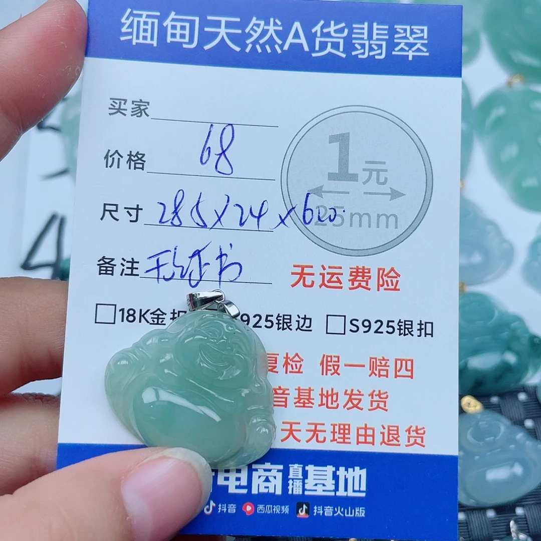 翡翠银S925镶嵌颈饰翡翠