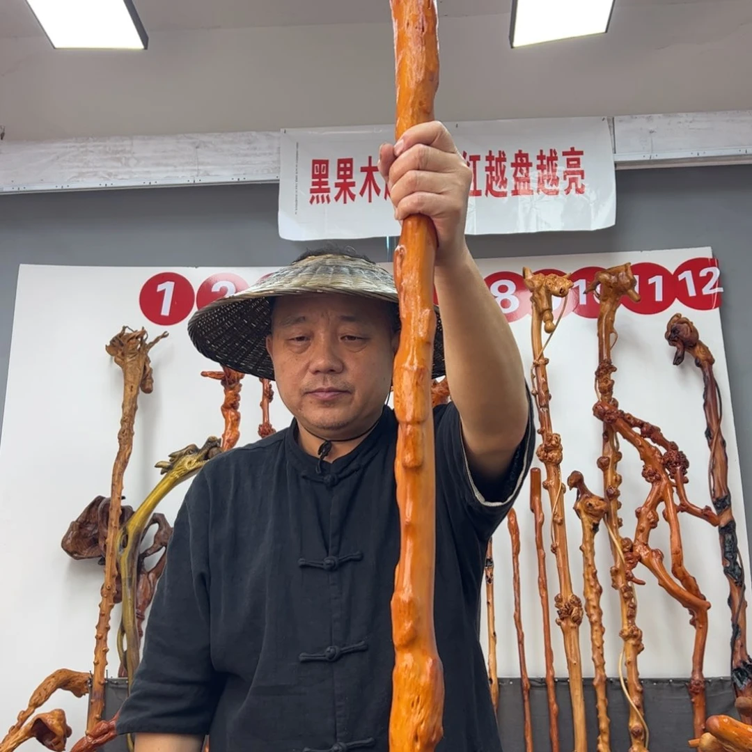 溜***圈黑果木其他黑果木620