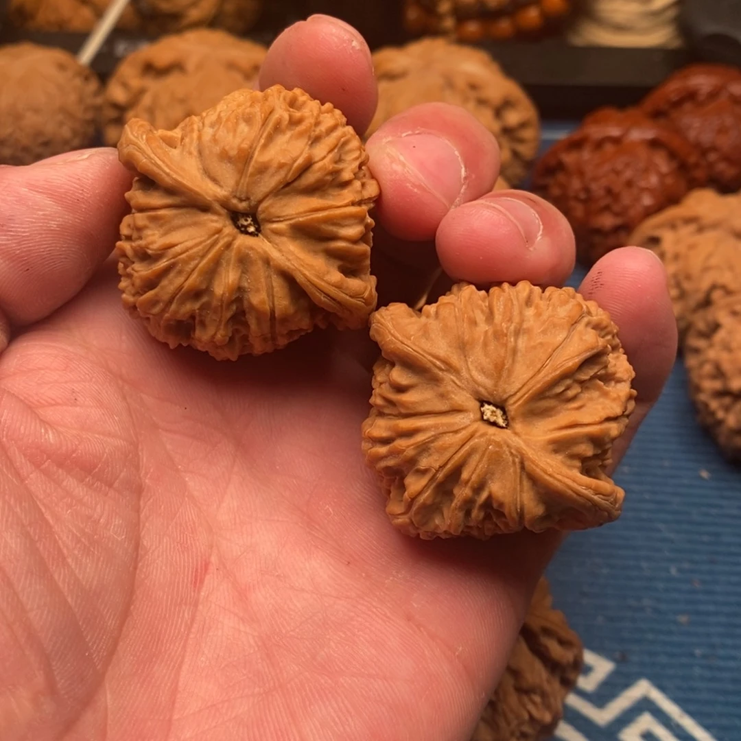 文玩核桃把件红狮子头