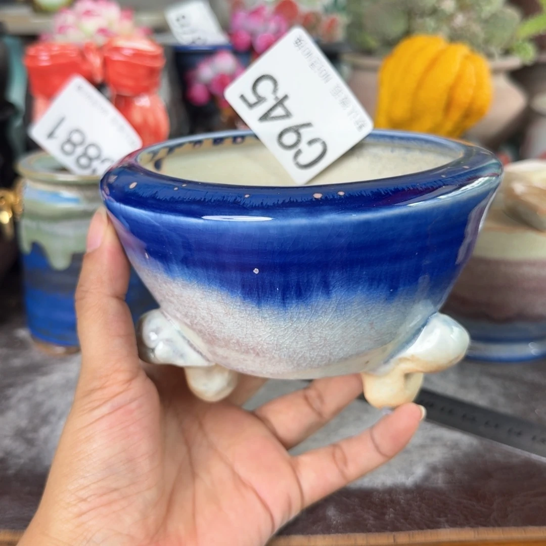 重庆小燕子欢迎大家945