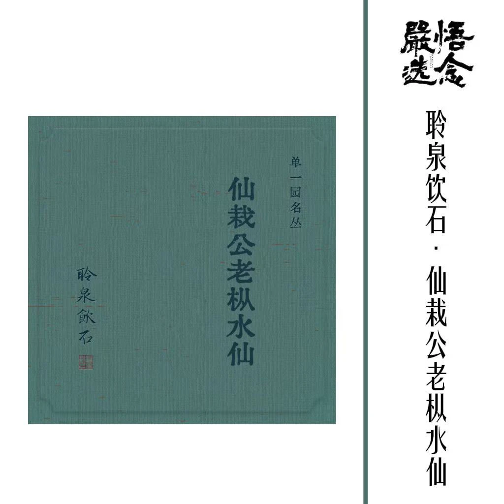 【严选】聆泉饮石 单一园系列2025年仙栽公老枞水仙礼盒