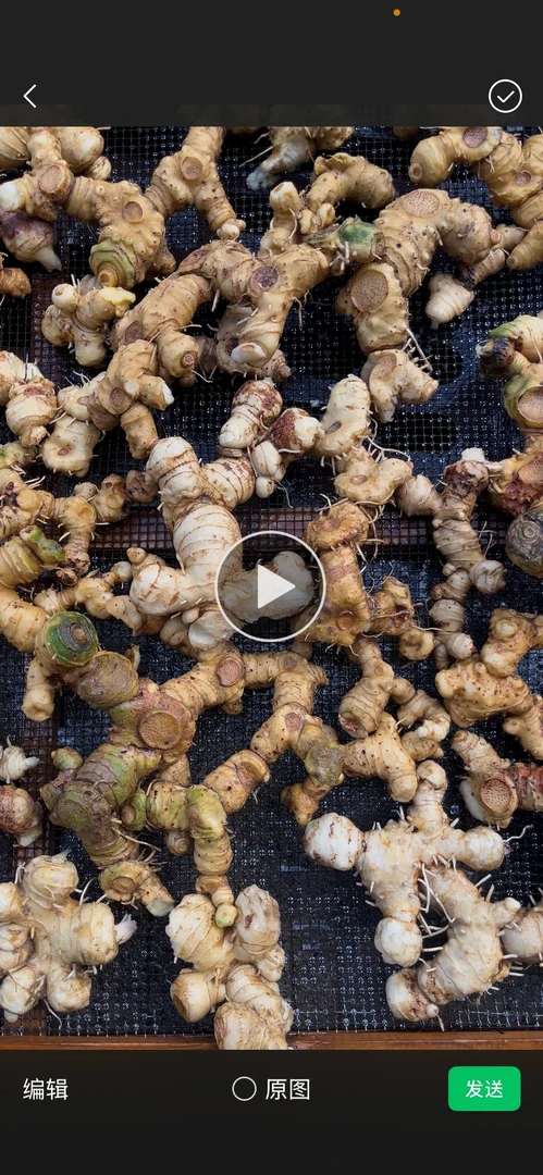 黄山野老虎姜，九蒸，九晒，九露，直接吃，泡水，煲汤