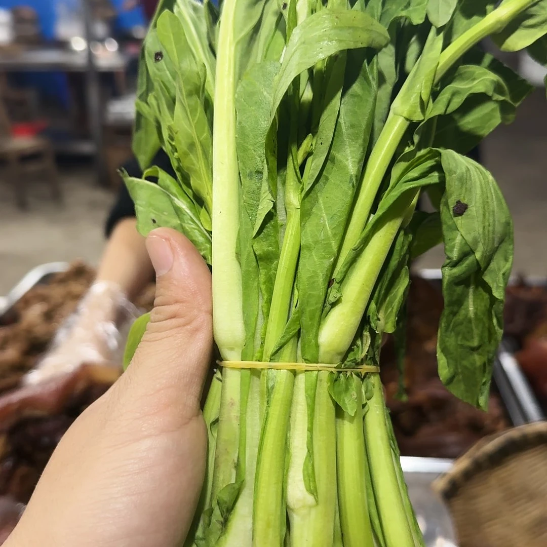 福***气白菜中国大陆青菜