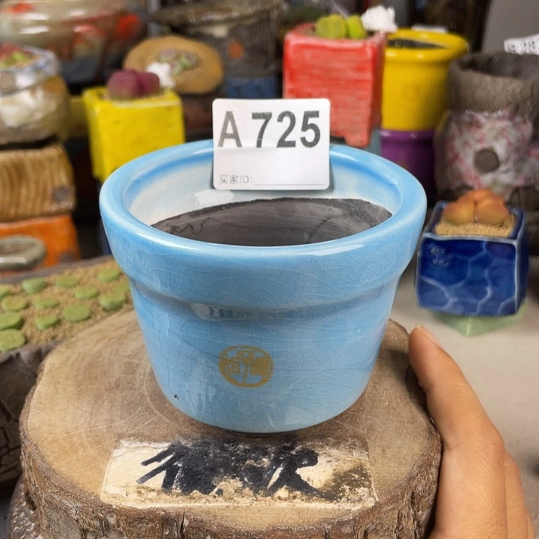 开播福利 陶瓷花盆 默认微次