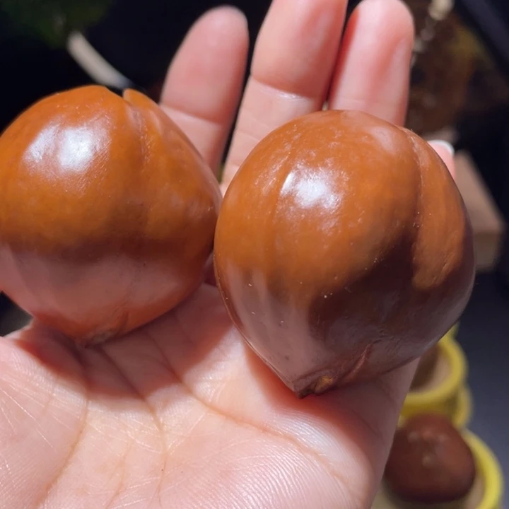 桃核把件北*.橄榄核一对