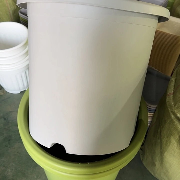 口径55灰白1个无托