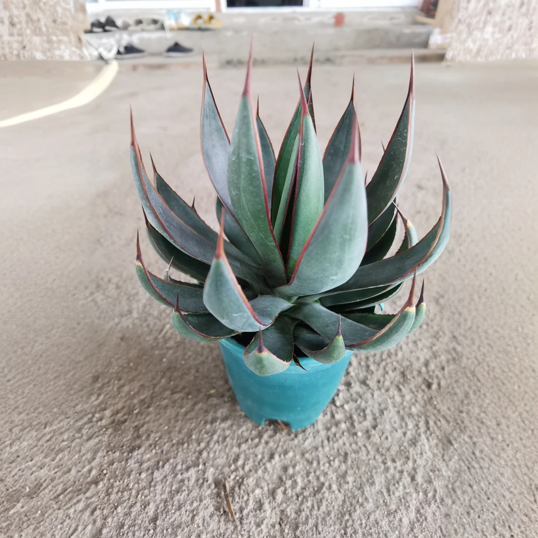 满18包邮 （上帝之手）