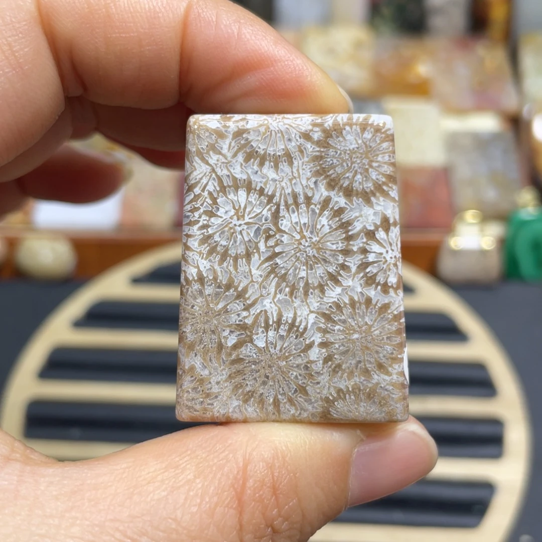 硅化玉未镶嵌颈饰k9